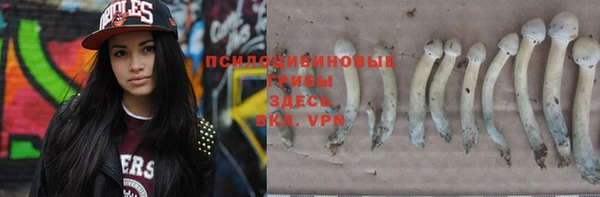 MESCALINE Арсеньев