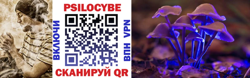 Купить закладки  Дмитриев  Псилоцибиновые грибы мухоморы 