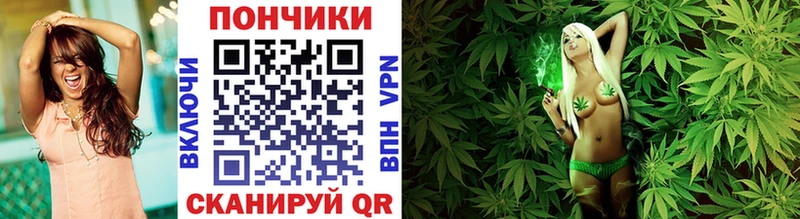 Бошки Шишки план  Купить закладки  Дмитриев 